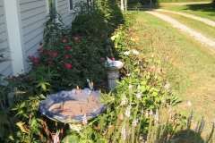 2007IMG_1403